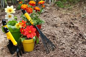 garden preparation